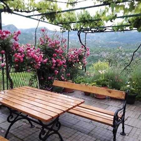 Gornja Brela Holiday Home Carevic מראה חיצוני תמונה